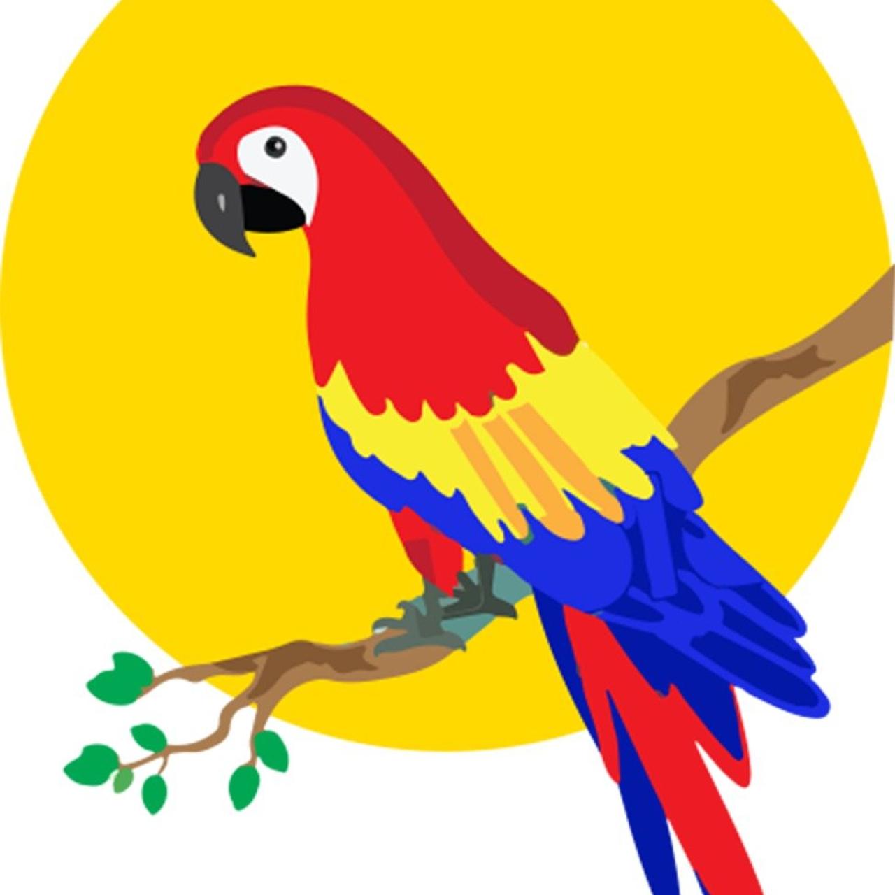 Papagei. Bild von KM NEHA auf Pixabay